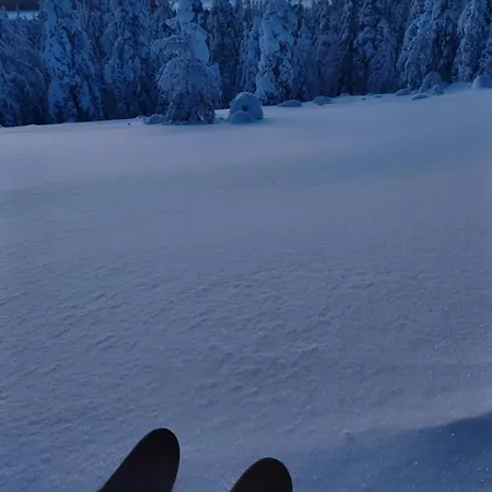 度假居 Villanorva