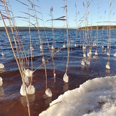 Villanorva Saarenkylä