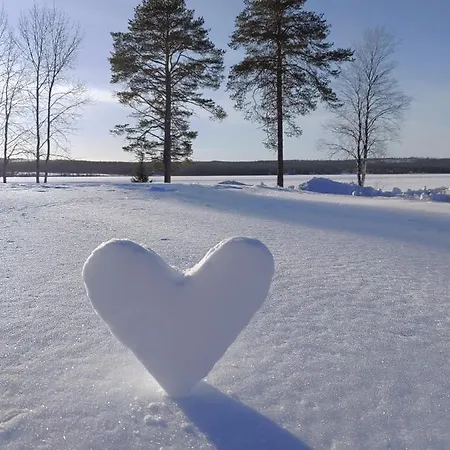 度假居 Villanorva Saarenkylä