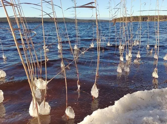 Villanorva Saarenkylä